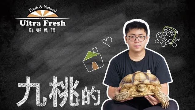 【九桃的澤龜照養術】新手必看:如何為澤龜打造第一個家的5大關鍵步驟!
