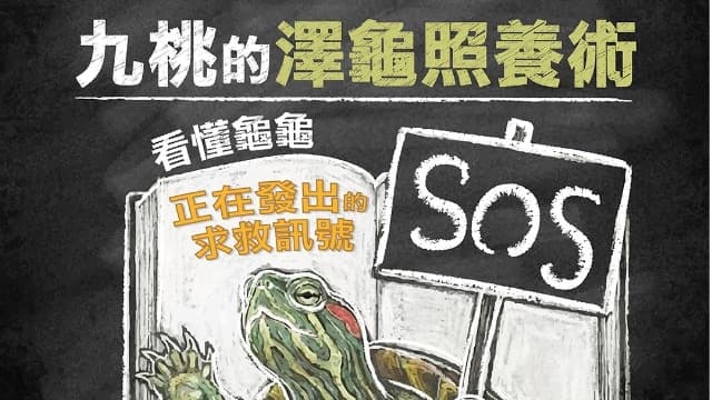 【九桃的澤龜照養術】看懂龜龜正在發出的求救訊號