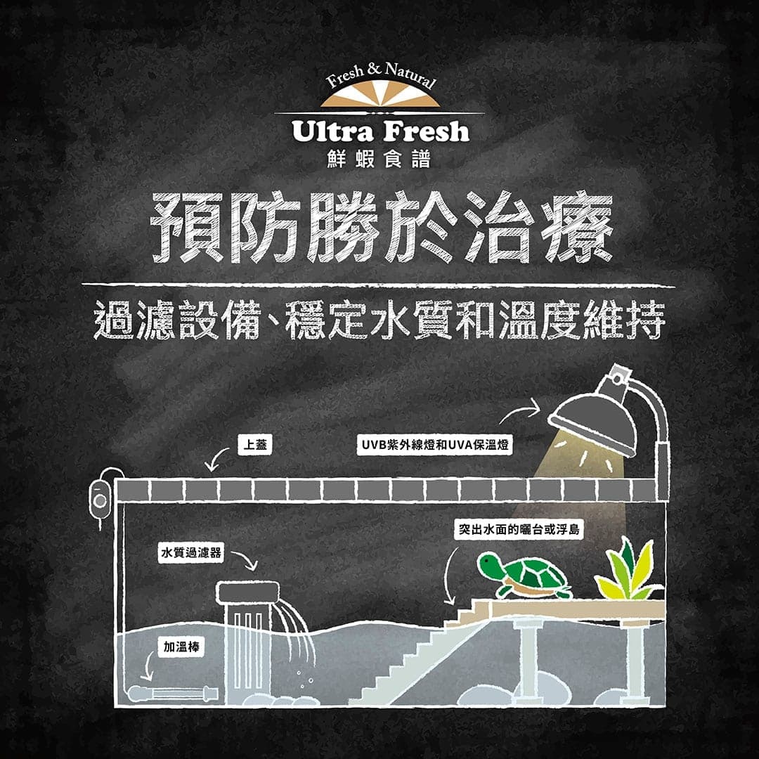 說明圖:預防勝於治療,畫出過濾設備、加溫棒、UVB 燈與曬台的配置