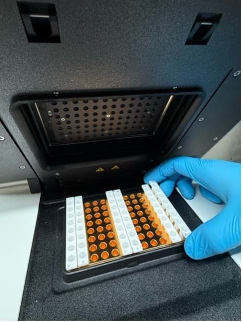 戴手套的手把 qPCR 反應盤放進儀器,一次檢測多個病原