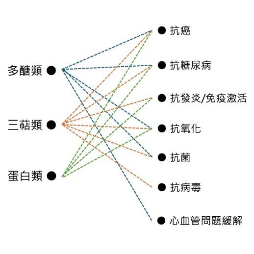 關聯圖:靈芝的多醣類、三萜類、蛋白類分別對應的已知生物效果