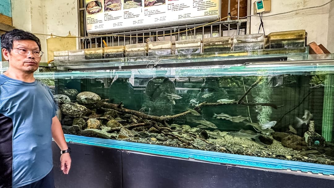 老師站在校園的臺灣原生魚展示缸前