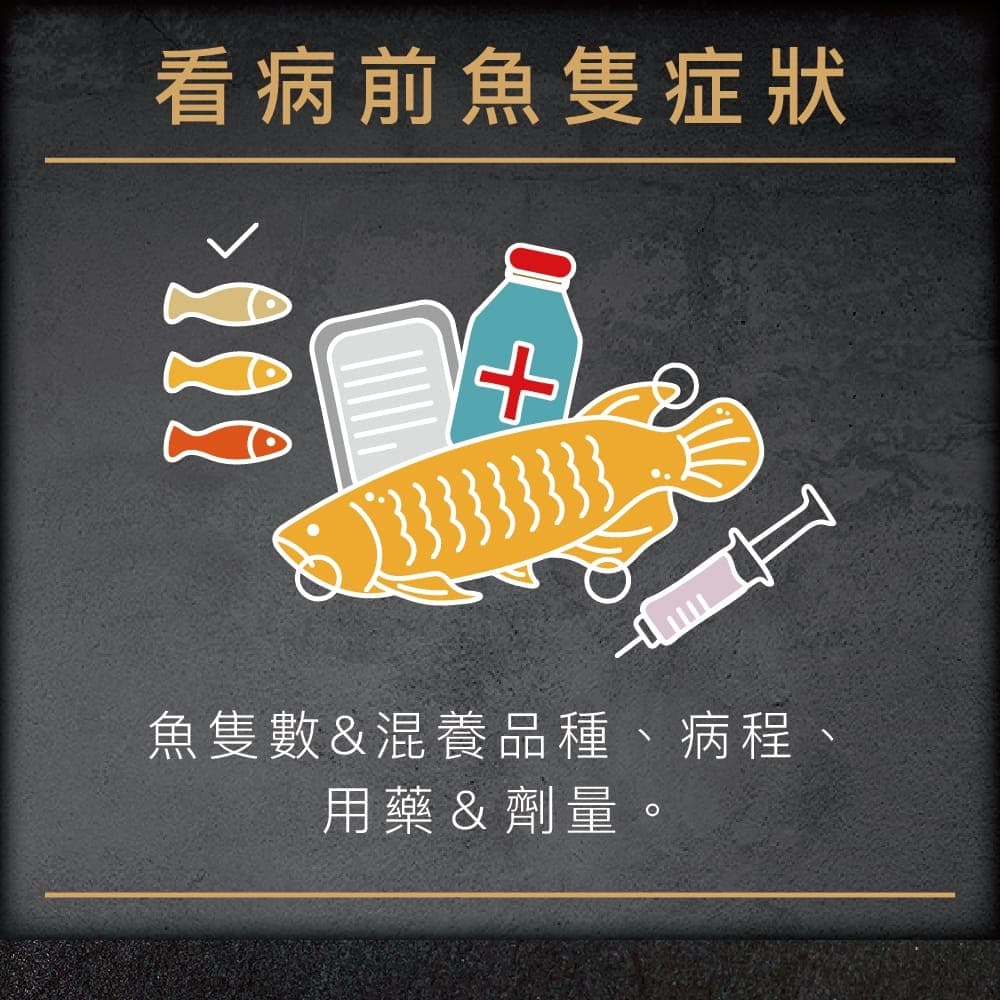 說明圖:看病前要準備的魚隻資訊——魚隻數與混養品種、病程、用藥與劑量