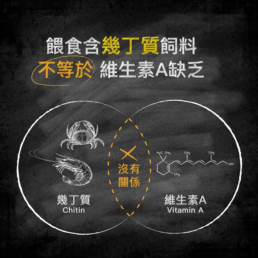 說明圖:餵食含幾丁質的飼料不等於維生素 A 缺乏