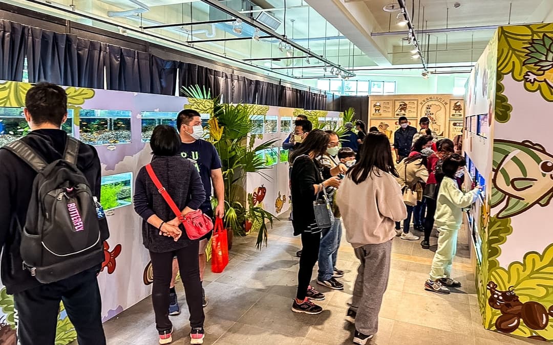 展場走道兩側的觀賞魚展示缸與參觀人潮