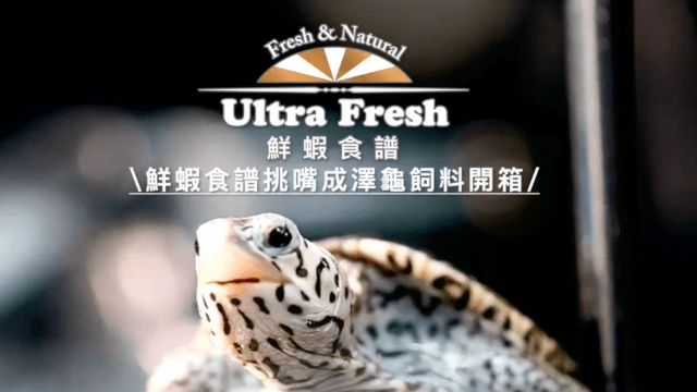 美國Youtuber烏龜飼料開箱