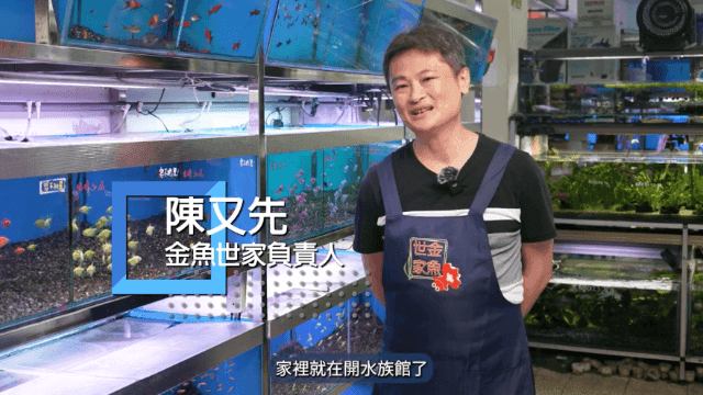 【水族特搜】知識與薪火傳承,盡心守護水族世界的水街老店 Ft. 金魚世家