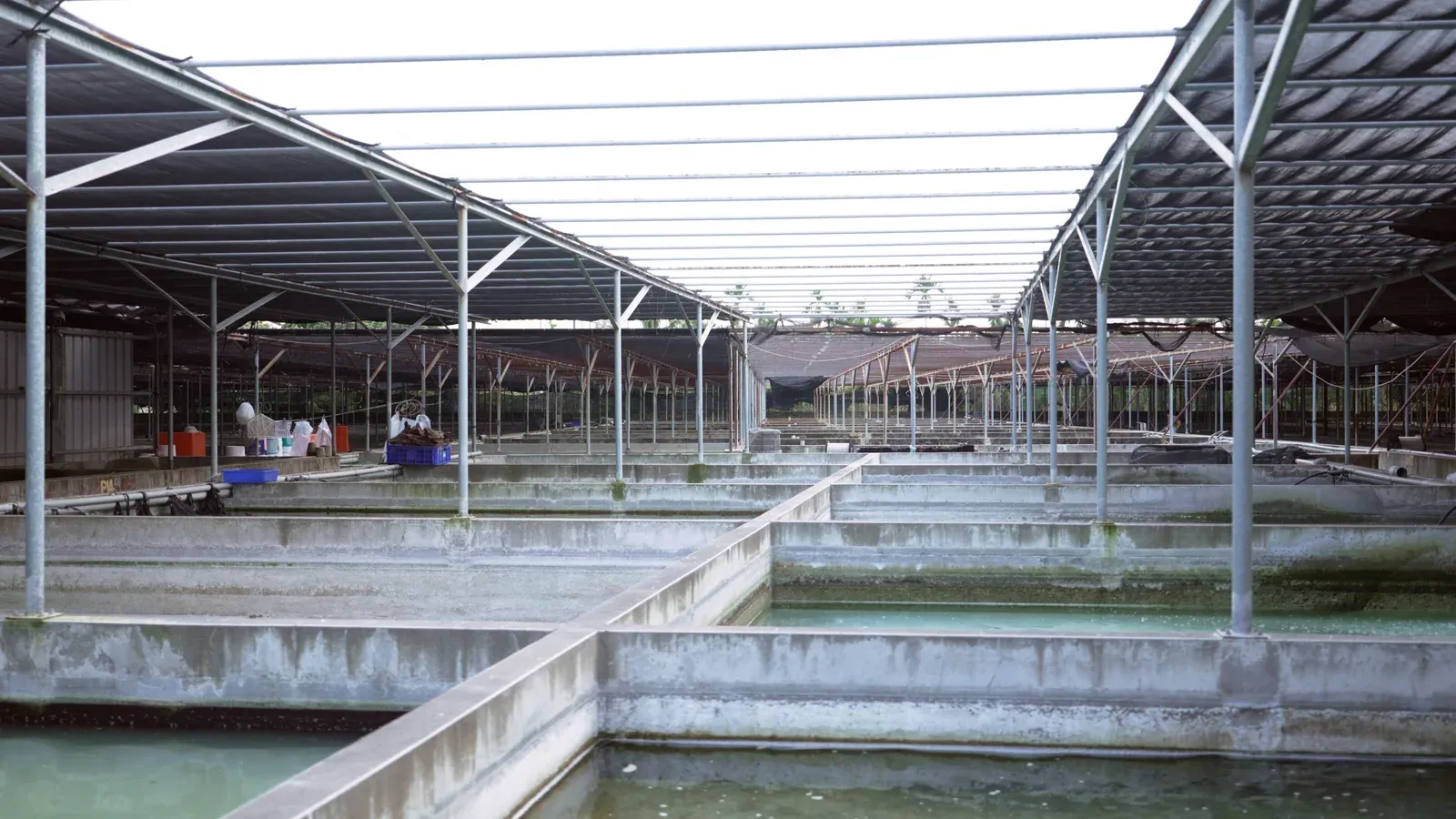棚架下成排的水池與觀察走道